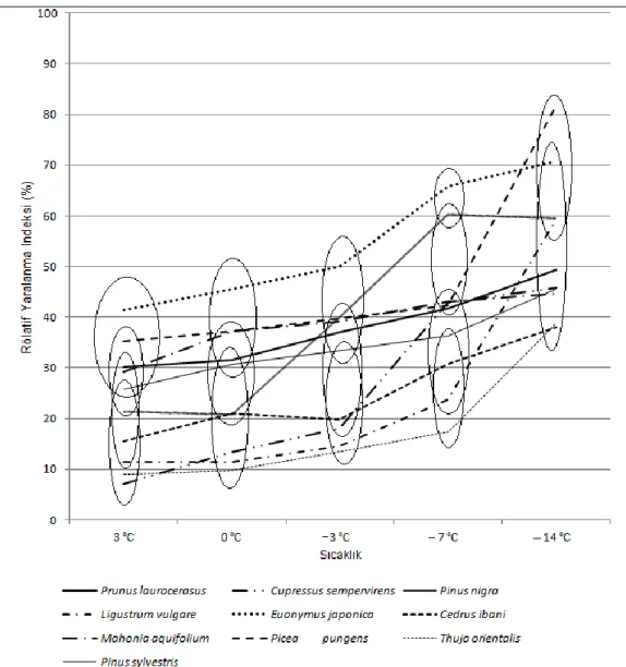 Grafik  4.4.Türe bağlı olarak sıcaklık bazında Rölatif Yaralanma İndeksi (%) 