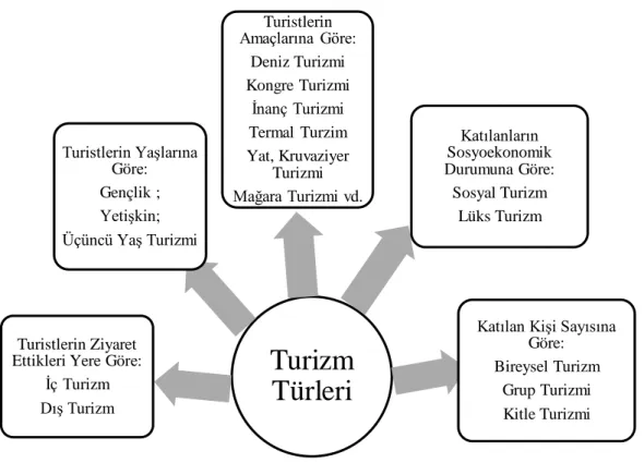 Şekil 1. Turizm Türleri (Sezer, 2010:8). 