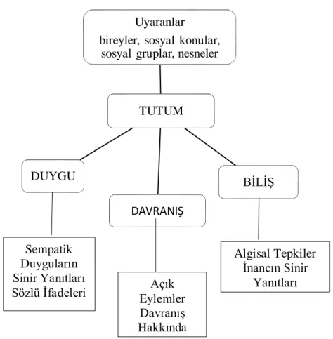 Şekil 4. Üçlü tutum yapısı modeli (Breckler, 1984: 1192). 