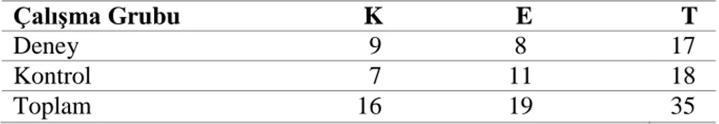 Tablo 3.1. Çalışma grubunun cinsiyet değişkenine göre dağılımı 