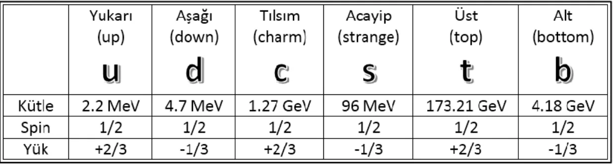 Tablo 2.2. Kuarkların sınıflandırılması 