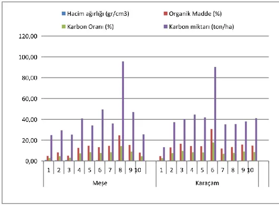 Grafik 4.2. Alt Toprak (10-20 cm) için Hacim Ağırlığı, Organik Madde, Karbon Oranı ve   Karbon Miktarlarının değişimi 