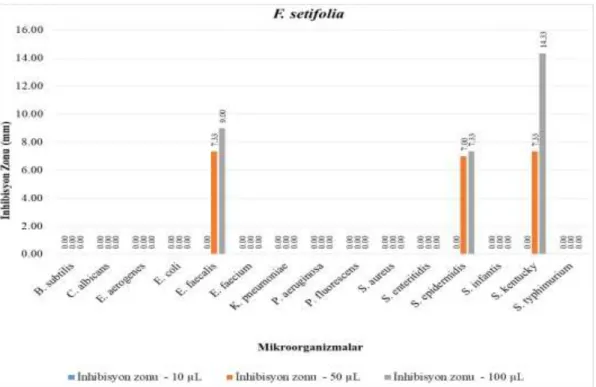 Grafik 4.2. F. setifolia için Disk Difüzyon Testi sonuçları. 
