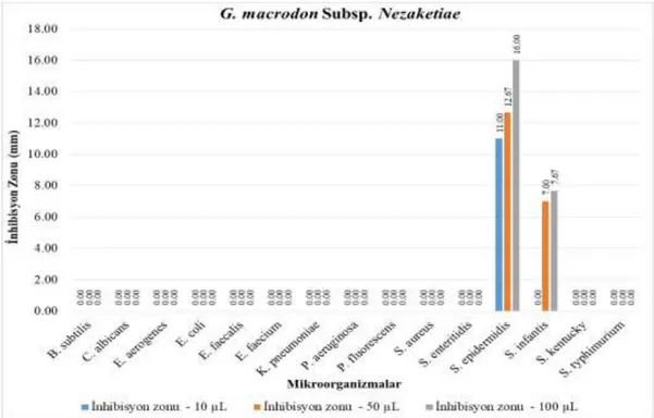 Grafik 4.5. G. macrodon subsp. nezaketiae disk difüzyon sonuçları 