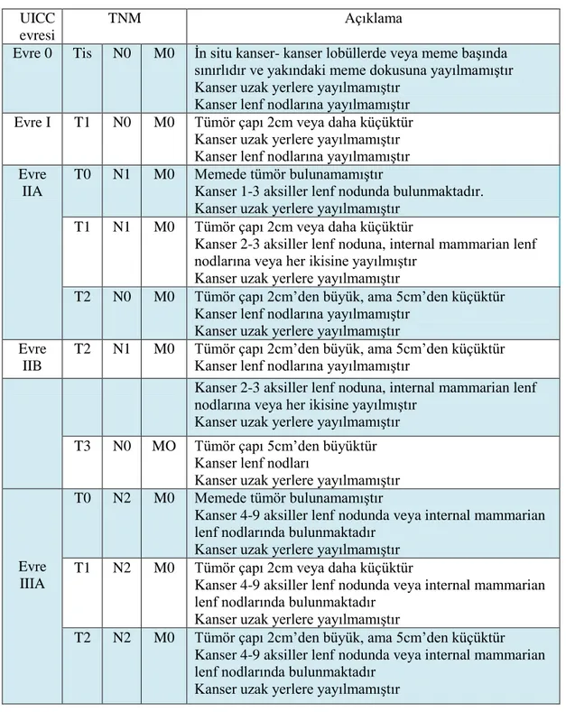 Tablo 1.1. Meme kanserinde TNM evrelemesi (UICC, 2012).  Açıklama TNM