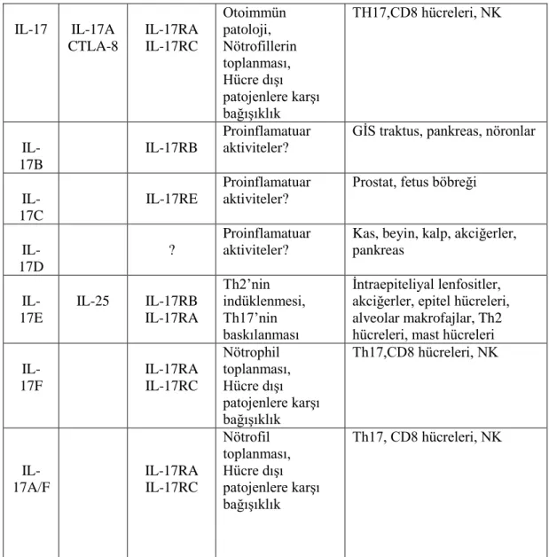 Tablo 1.2.’in devamı  TH17,CD8 hücreleri, NKOtoimmün  patoloji, Nötrofillerin  toplanması, Hücre dışı  patojenlere karşı  bağışıklık IL-17RAIL-17RCIL-17ACTLA-8IL-17
