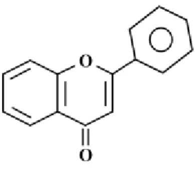 Şekil 1.3. Flavonların genel yapısı 