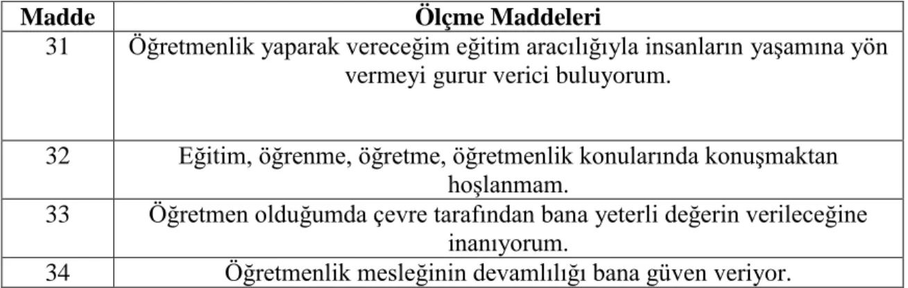 Tablo 3.1.  in  devamı
