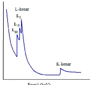 ġekil 2.3. Enerjiye karĢı soğurulma 