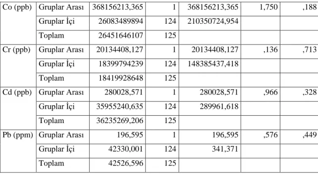 Tablo 4.5.’in devamı  Co (ppb)  Gruplar Arası  368156213,365  1  368156213,365  1,750  ,188  Gruplar İçi  26083489894  124  210350724,954   Toplam  26451646107  125   Cr (ppb)  Gruplar Arası  20134408,127  1  20134408,127  ,136  ,713  Gruplar İçi  18399794