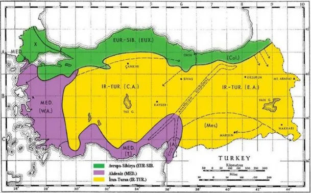 Şekil 1.1. Türkiye’deki fitocoğrafik bölgeler [6]                      