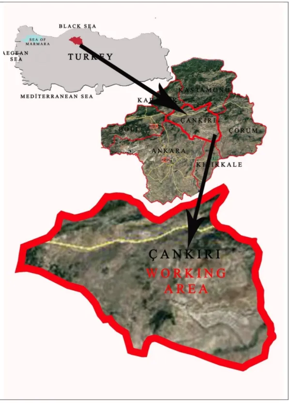 Şekil 3.1. Çankırı’nın Konumu 