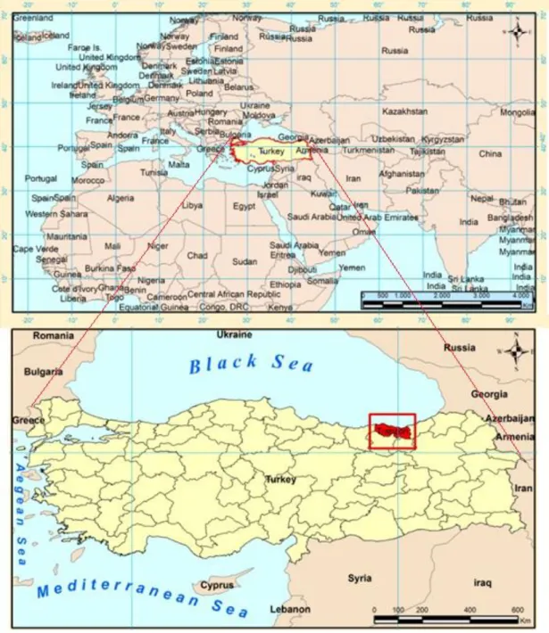 Şekil 3.1 Trabzon’un konumu 