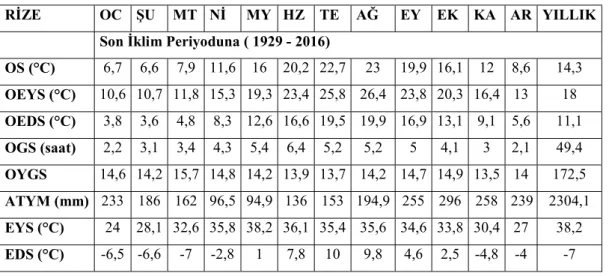 Tablo 3.3. Rize ilinin ortalama meteorolojik verileri 