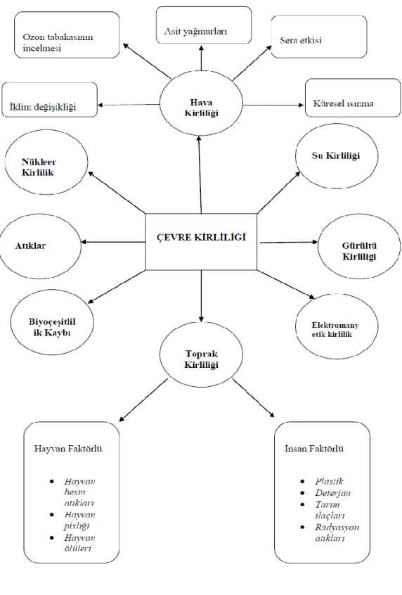 Şekil 1. Çevre kirliliği kavram haritası 