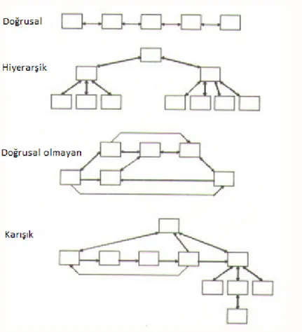 Şekil 8. Hipermetin Yapıları (Karadeniz ve diğerleri, 2004) 