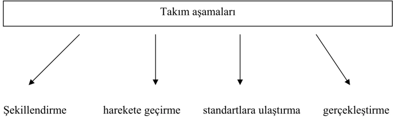 Şekil 2: Takım Oluşturulmasının Basamakları 