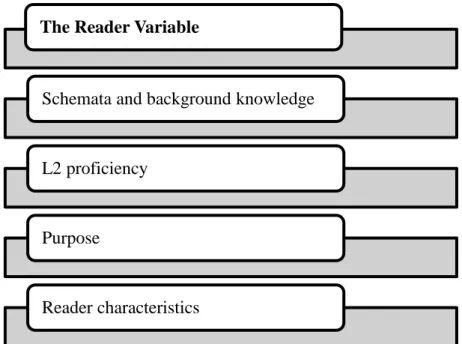 Figure 1. The reader variable 