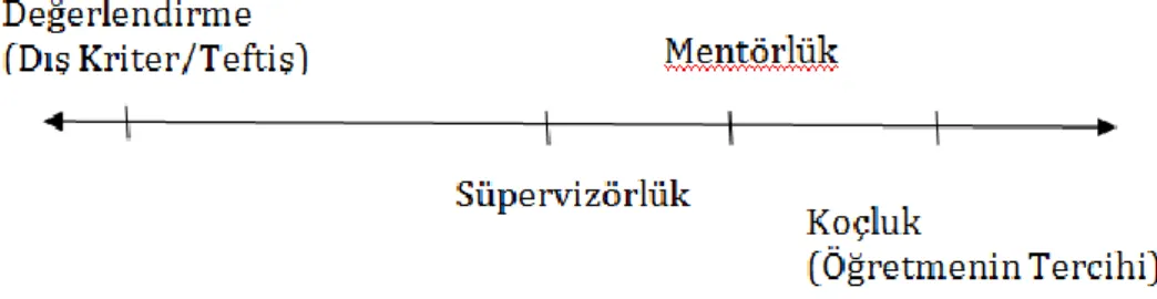 Şekil 2.  Değerlendirme koçluk süreci. “Quality teaching in a culture of coaching” (2nd b.)