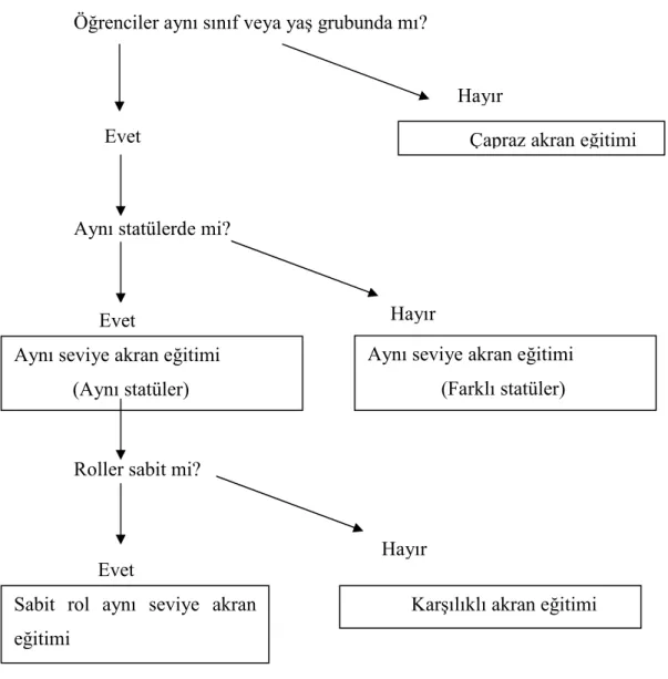 Şekil 2.1. Akran eğitimi çeşitleri (Falchikov, N. ve Blythman, M., 2002, s.8) 
