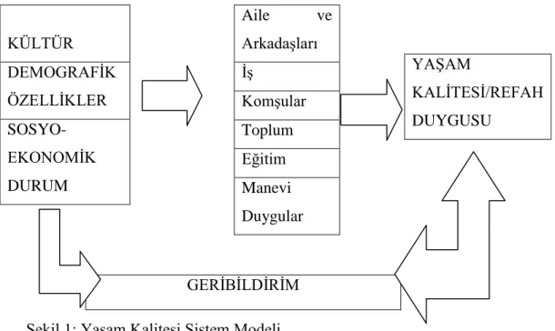 ġekil 1: YaĢam Kalitesi Sistem Modeli  