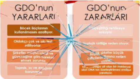 Şekil  3.7.  GDO  ile  ilgili  görsel.  “GDO  (Genetiği  değiştirilmiş  organizma)”,  Gümüş,  Z.,  2017, https://www.youtube.com/watch?v=BGT3644YIwQ sayfasından erişilmiştir