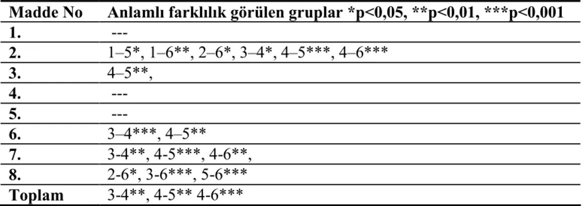 Tablo 18. Sorgulayıcılık Ölçeğinde Scheffe Testine Göre Anlamlı Farklılık Görülen Gruplar