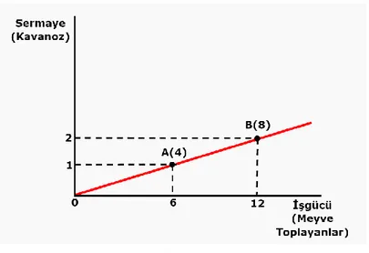 Şekil  5‟te  q  değişkenin  sabit  tutulması  halinde  üreticinin  üretim  tekniği  olanaklarını  gösteren  eş  ürün  eğrileri  yani  üretim  fonksiyonunun  grafiği  yer  almaktadır
