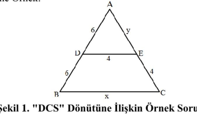 Şekil 1. "DCS" Dönütüne İlişkin Örnek Soru