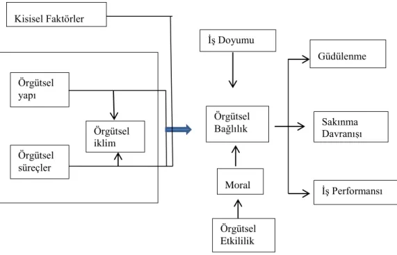 ġekil 3. Örgütsel Bağlılık Faktörleri ve Sonuçları Modeli  (Balay, 2000b, s.71) 