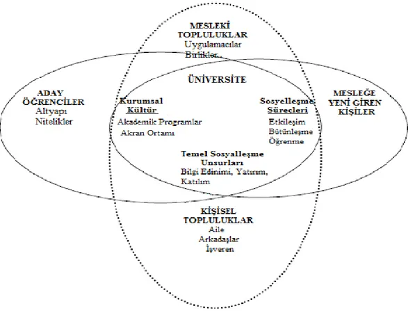 Şekil 1: Öğretmenlerin mesleki sosyalleşme modeli (Weidman vd., 2001, s.49) 