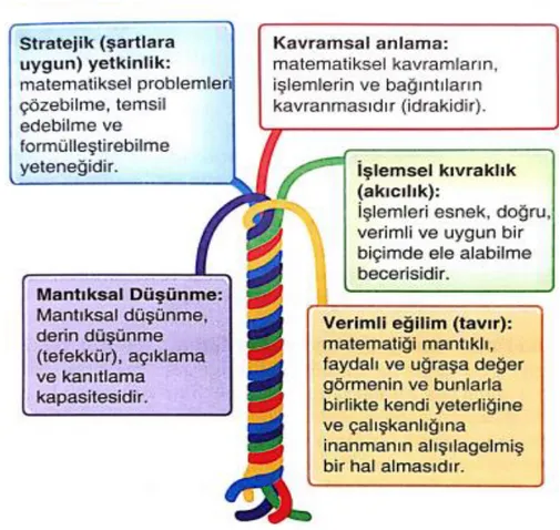 Şekil  2.1.’  de  görüldüğü  gibi,  matematik  öğretiminin  amaçladığı  hedefler,  yeterlikler  adı  altında  5  ana  başlık  altında  toplanmıştır