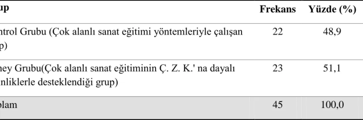 Tablo 17.    Deney ve kontrol gruplarının dağılımı 
