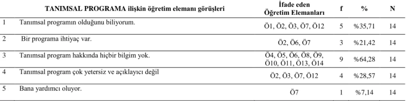 Tablo 17. Tanımsal Program Hakkında Öğretim Elemanlarının Görüşleri 