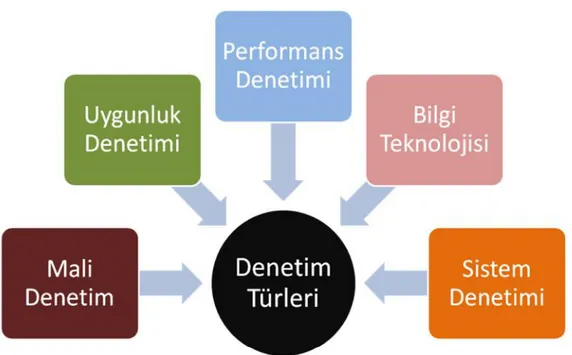 Şekil 1: İç Denetim Türleri (Gönülaçar, 2007:6)