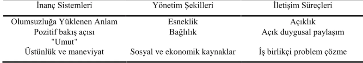Tablo 3: Walsh Aile Yılmazlık Modeli 