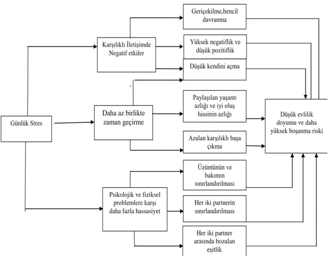 Şekil 7:Kronik günlük stres ve evlilik fonksiyonu arasındaki ilişki (Bodenmann, 2004) 