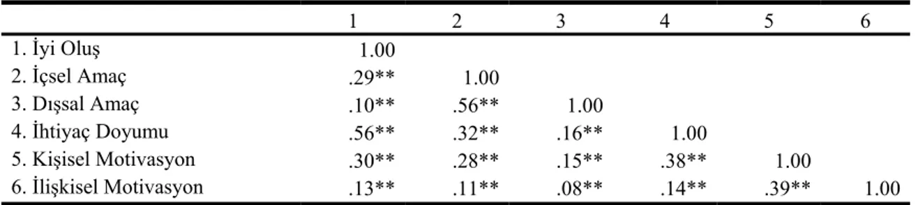 Tablo 17 incelendiğinde, modelin yordanan (endogen) değişkenlerinden iyi  oluşun diğer yordayıcı (exogen) değişkenlerle anlamlı düzeyde ve olumlu yönde ilişkili  olduğu görülmektedir