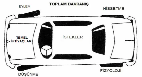 Şekil 3: Toplam Davranışın Açıklanması 