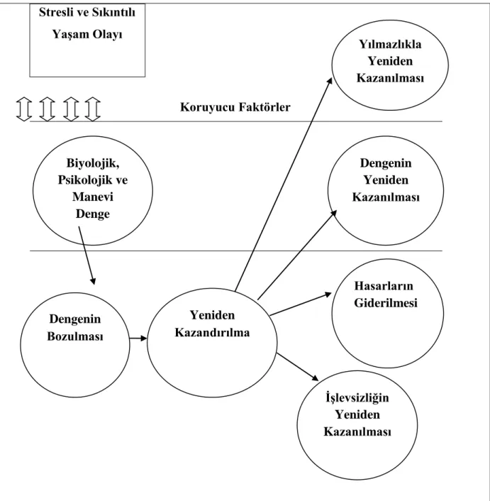 Şekil -1 Richardson Yılmazlık Modeli (Richardson, 2002) 