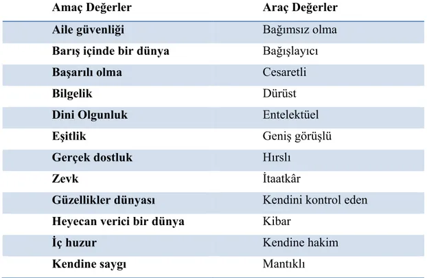 Tablo 1. Amaç ve araçlara göre değerlerin sınıflandırılması 