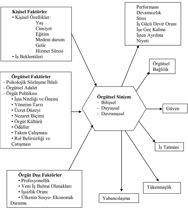 Şekil 2: Örgütsel Sinizmi Etkileyen Faktörler ve Sonuçları (Sulıman, 2002 akt. Yüceler,  2009: 450) Kişisel Faktörler • Kişisel Özellikler:  Yaş  Cinsiyet  Eğitim  Medeni durum  Gelir Hizmet Süresi • İş Beklentileri Örgütsel Faktörler - Psikolojik Sözleşme