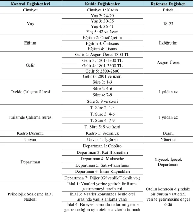 Tablo 12. Kontrol Değişkenlerine İlişkin Kukla ve Referans Değişkenleri 