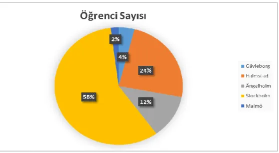 Şekil 5. Katılımcı Öğrencilerin İsveç’te Yaşadığı Şehre Göre Dağılımı 