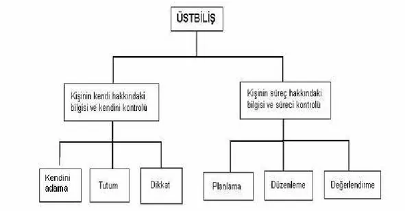 Şekil 1: Araştırmada Yararlanılan Üstbiliş Modeli