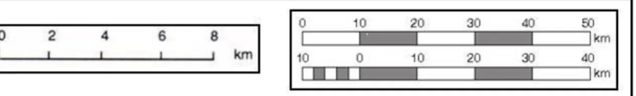 ġekil 6. Çizgi (Grafik) Ölçek Gösterim ġekilleri (Sever, 2007; 73). 