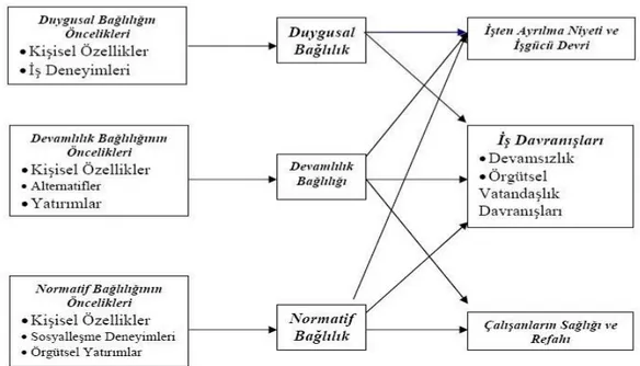 Şekil 3. Üç Bileşenli Örgütsel Bağlılık Modeli 