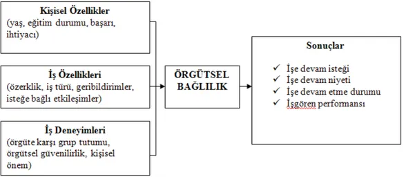 Şekil 4. Steers’ın Örgütsel Bağlılık Araştırma Modeli 