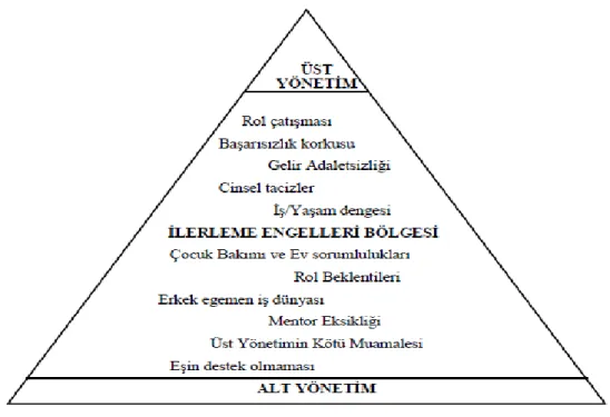 Şekil 4. Cam tavan engelleri 