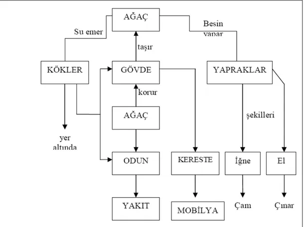 Şekil 11: Ağaç Konulu Kavram Haritası (Cunningham ve Turgut, 1996).  